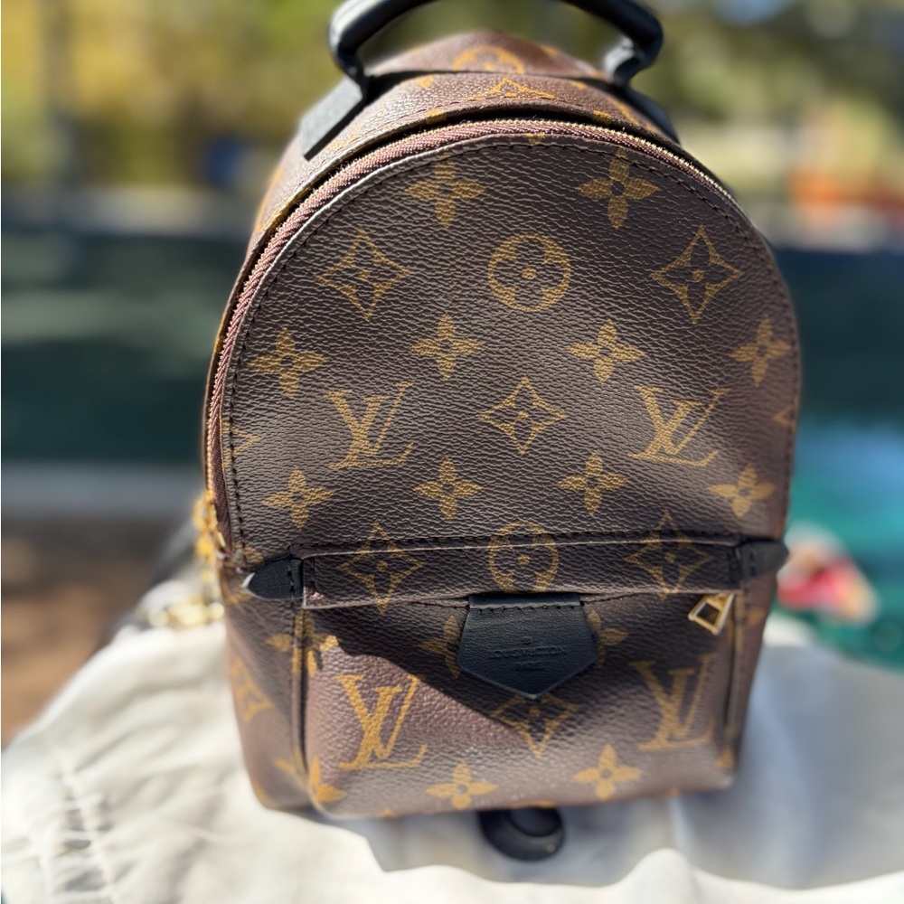 Louis Vuitton Brown Monogram Palm Springs Mini Backpack
